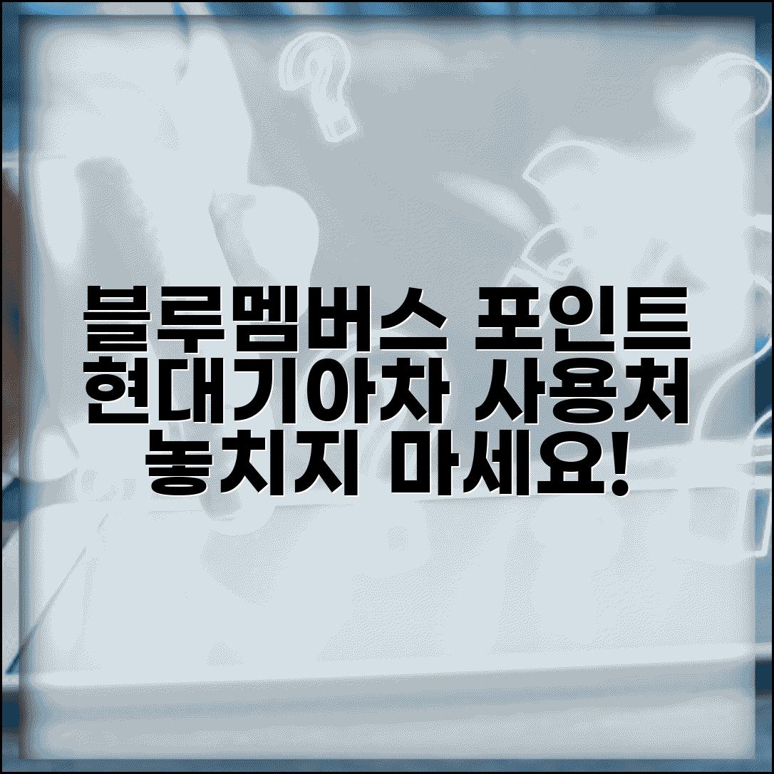 블루멤버스 포인트 사용처 | 현대/기아차 멤버십 포인트 사용 가맹점