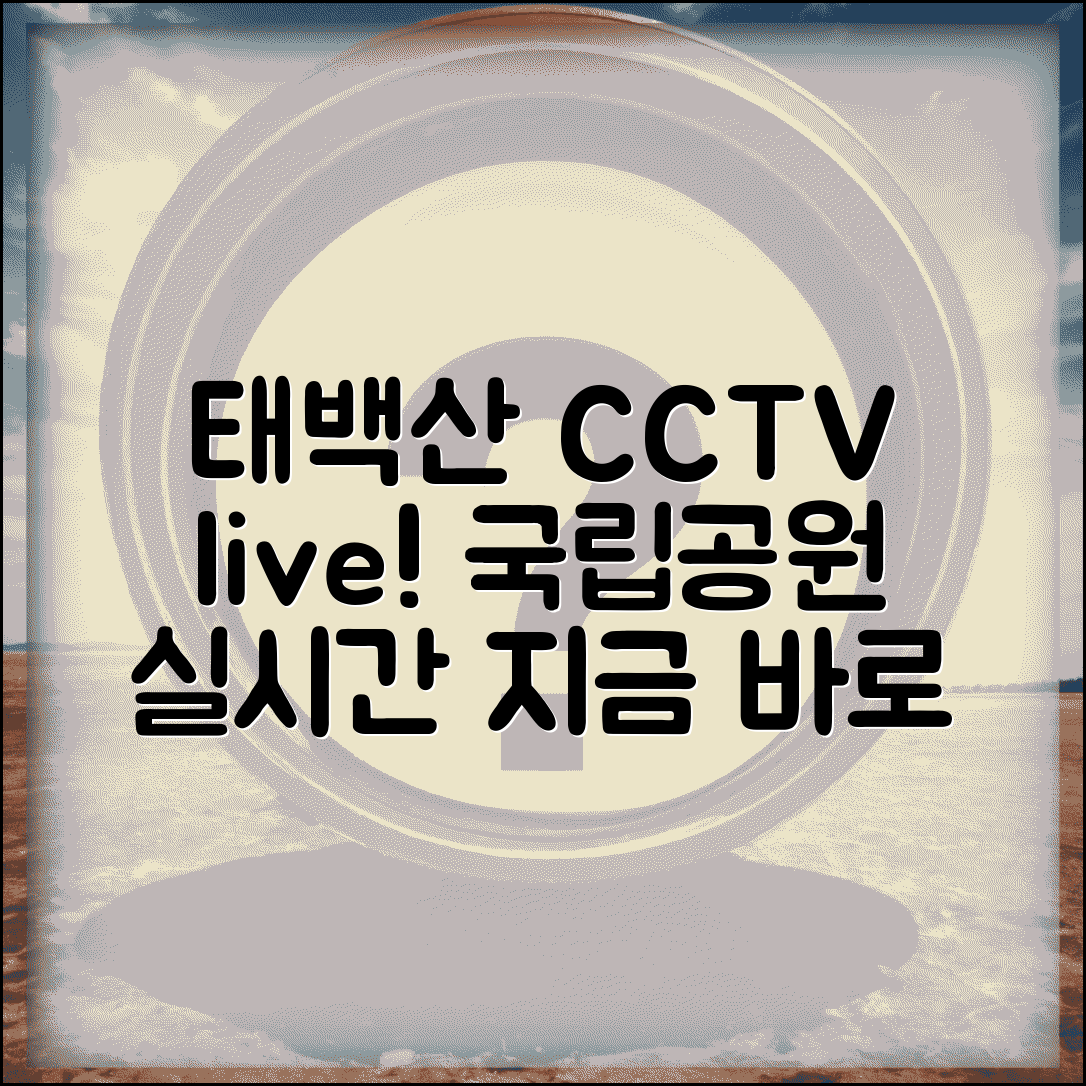 태백산 실시간 CCTV | 태백산 국립공원 실시간 영상 완벽가이드