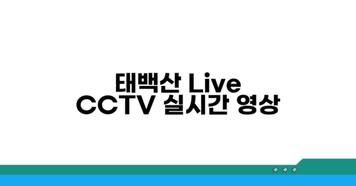 태백산 CCTV 실시간 영상 바로 보기
