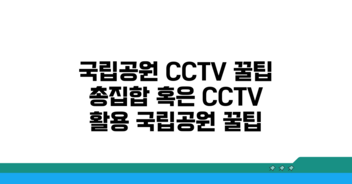 국립공원 CCTV 활용 꿀팁 모음