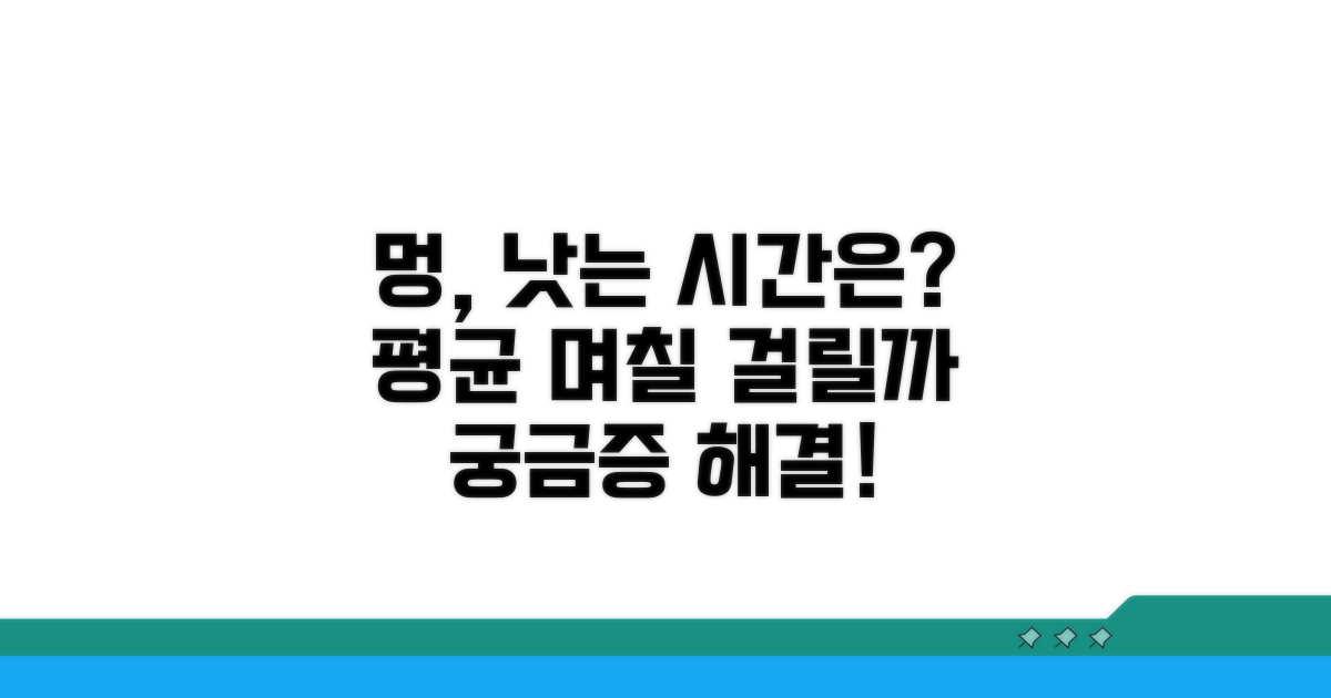 멍 사라지는 평균 기간은?