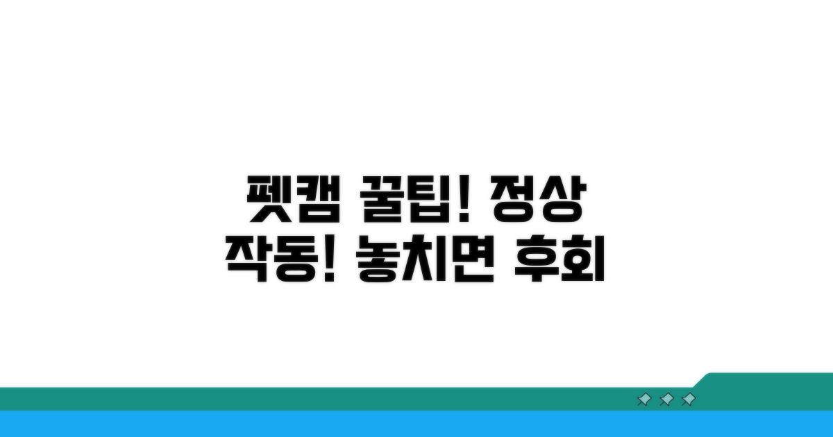펫캠 정상 작동 꿀팁