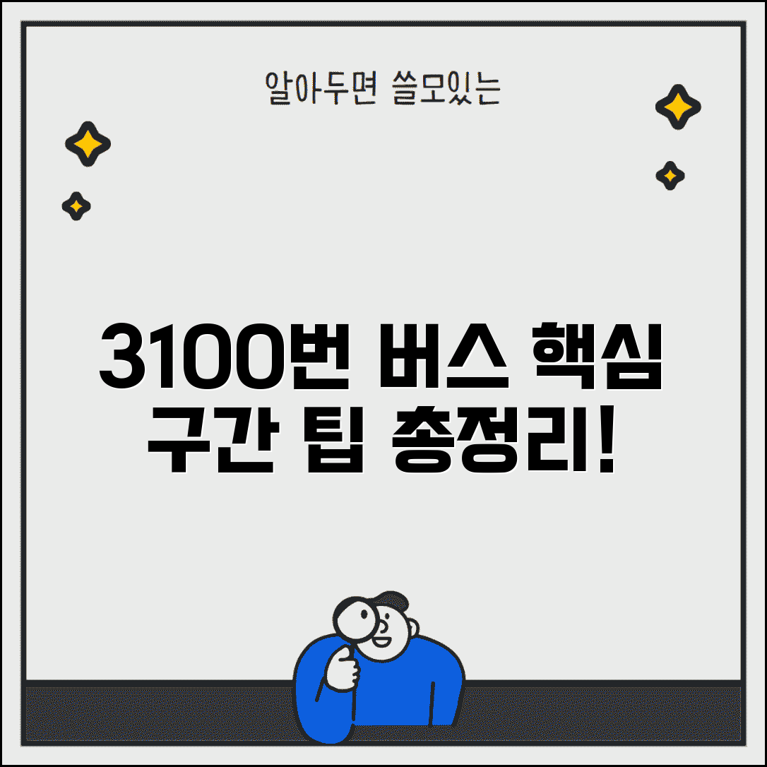 3100번 버스 노선 구간별 정리 | 주요 경유지 및 소요시간, 이용 꿀팁 총정리