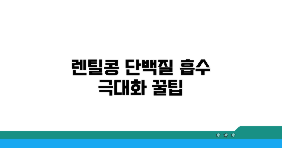 렌틸콩 단백질 흡수 꿀팁