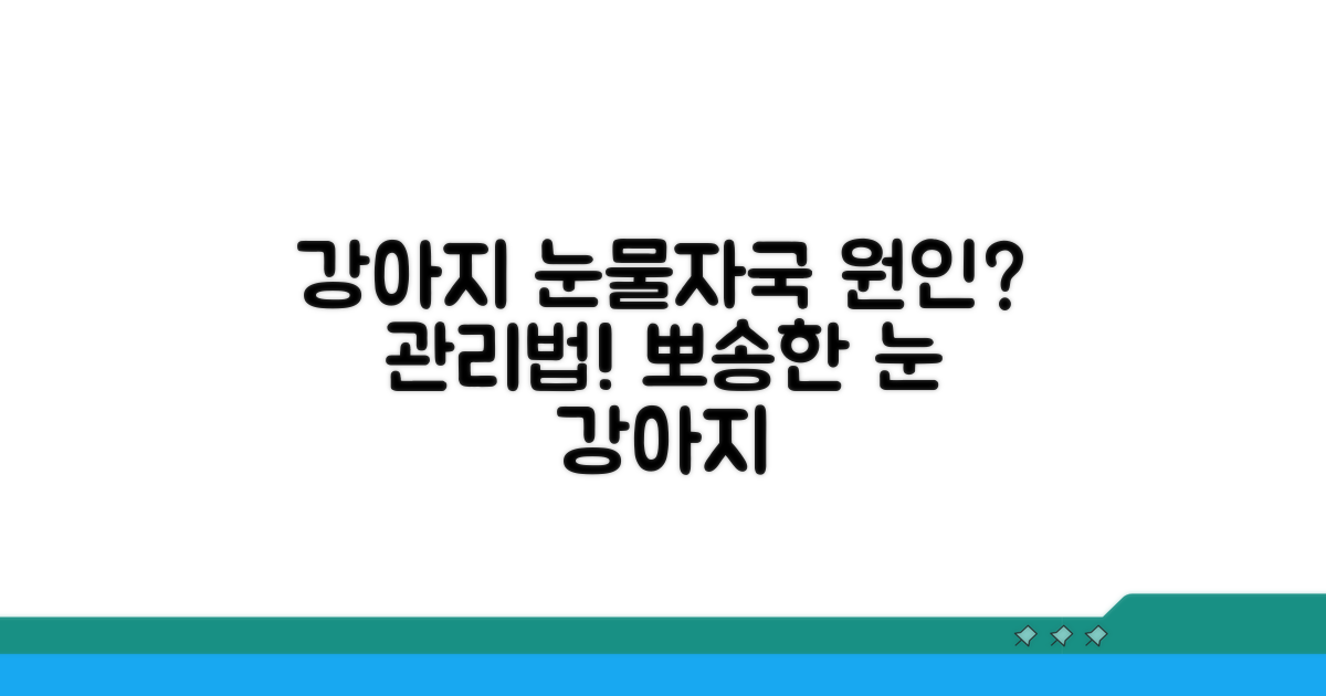 강아지 눈물자국 원인과 관리법
