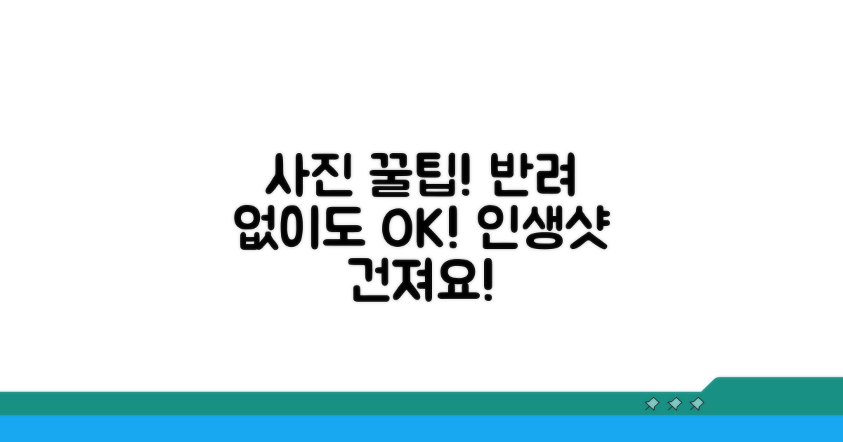 반려 없는 사진 준비 꿀팁