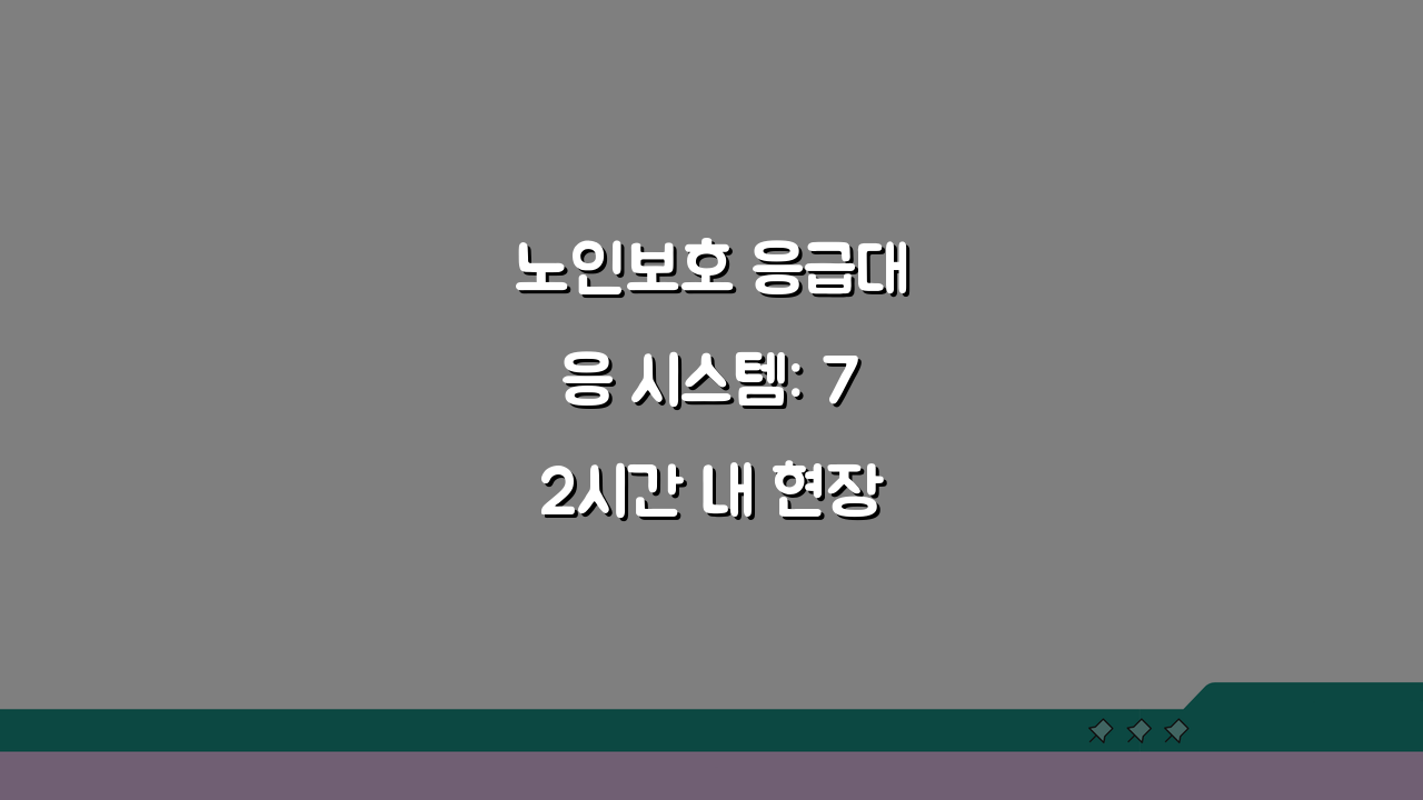 노인보호 응급대응 시스템: 72시간 내 현장 조사 및 안전 조치 A to Z
