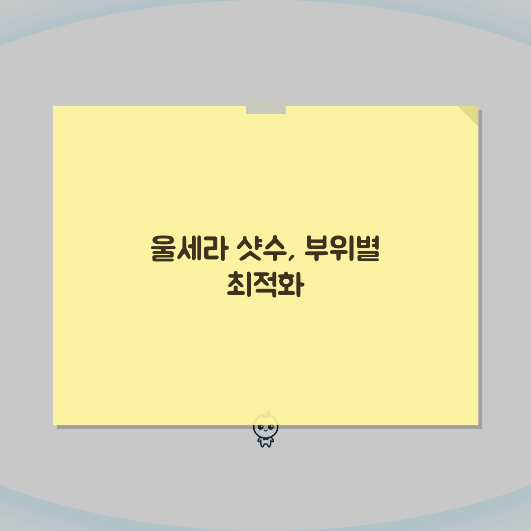 울세라 300샷 효과 범위, 부위별 필요 샷수, 최소 샷수 최대 효과 보는 법 A to Z